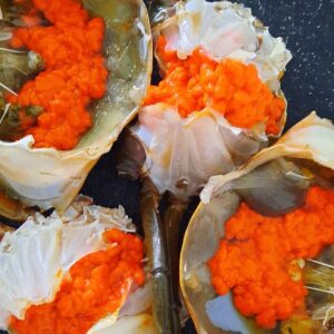 Female Crab / Kepiting Telur Super Jumbo